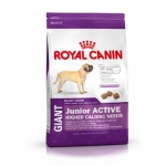 Сухой корм Royal Canin (Роял Канин) Гиант Юниор Актив (15 кг)